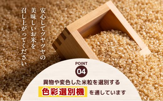 訳あり 数量 限定 定期便 令和8年度産 とちぎの星 約 20kg | とちぎの星 ミルキークイーン お米 kome okome ご飯 米 玄米 白米 ごはん おいしい  ふるさと納税 栃木県 那珂川
