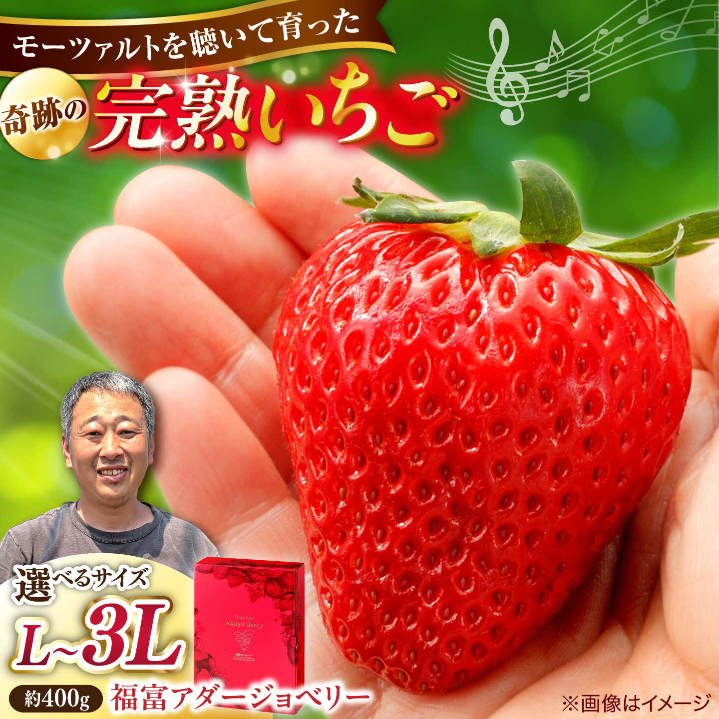 【ふるさと納税】【選べるサイズ】＼先行予約／【2027年1月中旬順次発送】完熟いちご のつ農園 「福富アダージョベリー」L～3Lサイズ 【数量限定】島根県松江市/山陰中央テレビジョン放送株式会社[ALFI002]｜イチゴ 苺 完熟 大粒 フルーツ ギフト ジューシー おすすめ