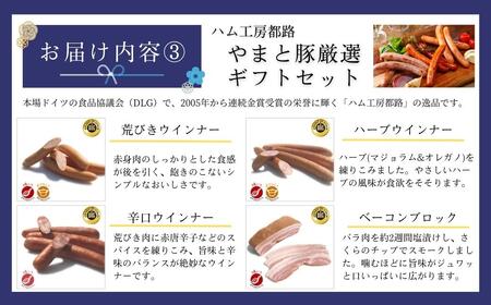 田村市ギフトセット 「梅」 ビール 日本酒 ハム ベーコン 福島県 田村市