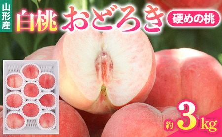 山形県産白桃おどろき 約3kg[硬めの桃]【令和8年産先行予約】FS25-150