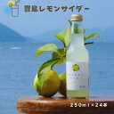 【ふるさと納税】豊島レモンサイダー 250ml 24本　【 飲料 炭酸飲料 サイダー レモン 食品添加物不使用 甘さ控えめ 】