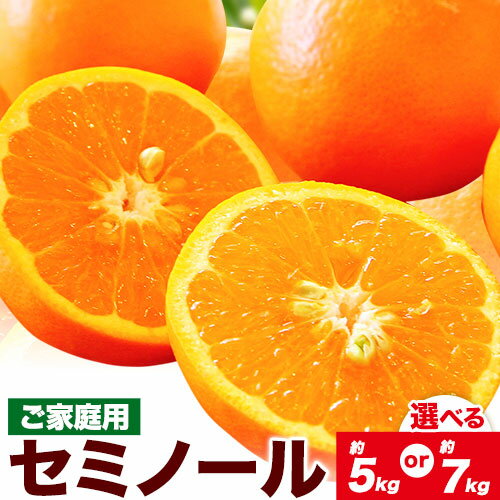【ふるさと納税】柑橘 ご家庭用セミノール 選べる 約5kg 約7kg 主井農園《4月下旬-6月中旬頃出荷》 和歌山県 日高町 セミノール オレンジ みかん 柑橘 家庭用 希少 送料無料 オレンジ
