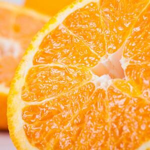 有田育ちの濃厚不知火(ご家庭用) 約2.5kg［先行予約］［MS40］