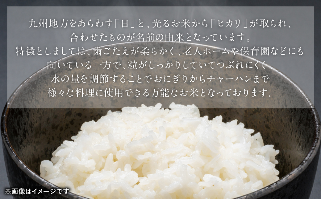 《令和7年産》熊本県八代市産 球磨川急流米 ヒノヒカリ 5kg 国産 白米 精米 お米 コメ 米 ライス ご飯 ごはん 白飯