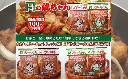 ケーちゃん10個入り(みそ味・しょうゆ味　各5個)【8-1】