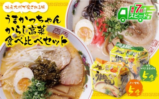 W55-06 【7営業日以内発送】うまかっちゃん 博多からし高菜・豚骨ラーメン食べ比べセット(5食×2)