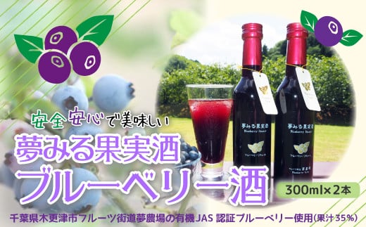 ＜有機栽培ブルーベリー使用＞夢みる果実ブルーベリー酒　300ml×2本 ふるさと納税 ブルーベリー ブルーベリージュース アントシアニン 千葉県 木更津市 送料無料 KAA002
