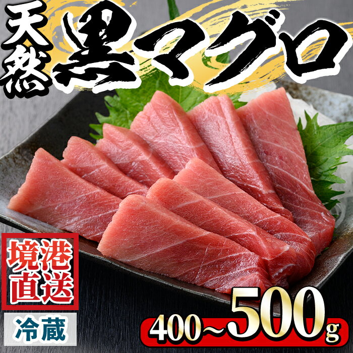 【ふるさと納税】＜選べる＞＜先行予約受付中！6月上旬～7月上旬発送予定！＜数量限定＞サクでお届け！近海天然黒マグロ(約400～500g)国産 地魚 魚介 まぐろ マグロ 鮪 赤身 冷蔵【sm-AA013】【いたくら】