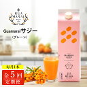 【ふるさと納税】【定期便5カ月】サジー グアマラルサジー 1000ml　毎月1本5カ月コース｜サジージュース サジー シーベリー 沙棘 グアマラル 健康ドリンク 健康 美容 栄養 果汁 鉄分補給 栄養補給 健康食品 ギフト 贈答 贈り物 お祝 ご褒美 プレゼント 飲み物 ドリンク _DX21