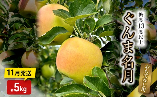 
                  りんご【11月発送】糖度13度以上 ぐんま名月 おもてなし用 家庭用 約5kg 【青森りんご】
                