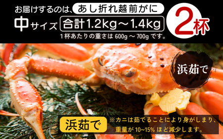 【訳あり】足折れ 越前がに 中サイズ × 2杯（1杯600〜700g）【12月発送分】地元で喜ばれるゆで加減・塩加減で越前の港から直送！【雄 ズワイガニ ずわいがに 姿 ボイル 冷蔵 福井県】希望日指