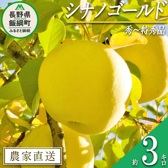 【ふるさと納税】 りんご シナノゴールド 秀 〜 特秀 3kg 丸山りんご園 沖縄県への配送不可 令和7年度収穫分 長野県 飯綱町 〔 信州 果物 フルーツ リンゴ 林檎 長野 11000円 予約 農家直送 〕発送時期：2025年11月上旬〜2025年12月上旬 {***}