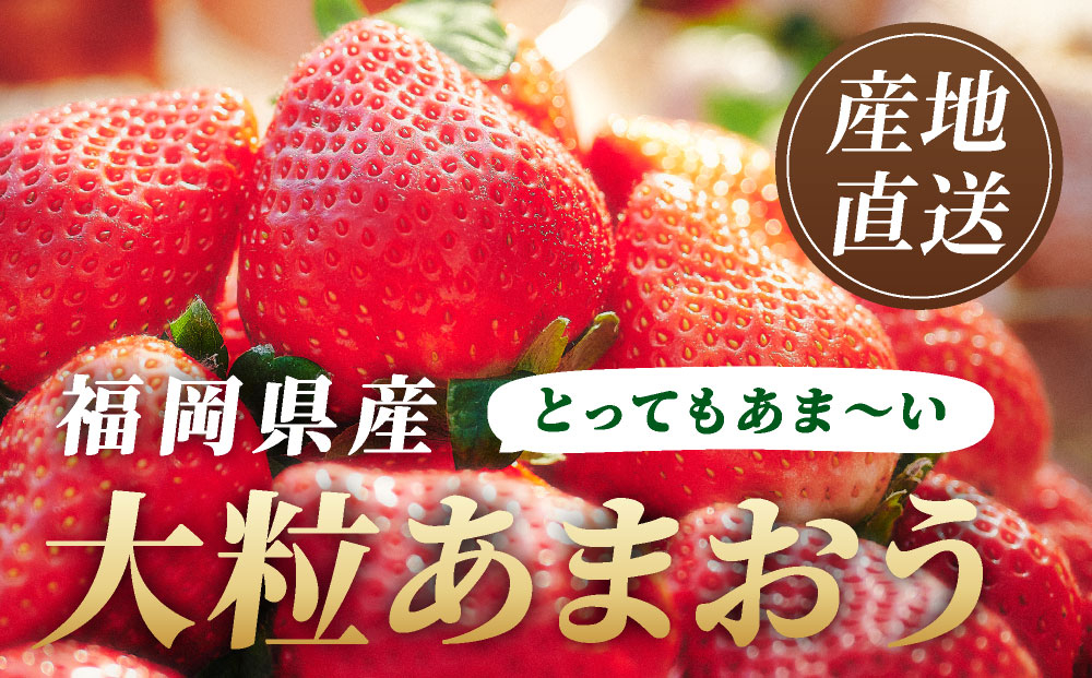 特選あまおう　400g 特選あまおう　400g