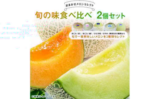 《メロン2種類セット》プロ厳選おまかせで旬の味を食べ比べ