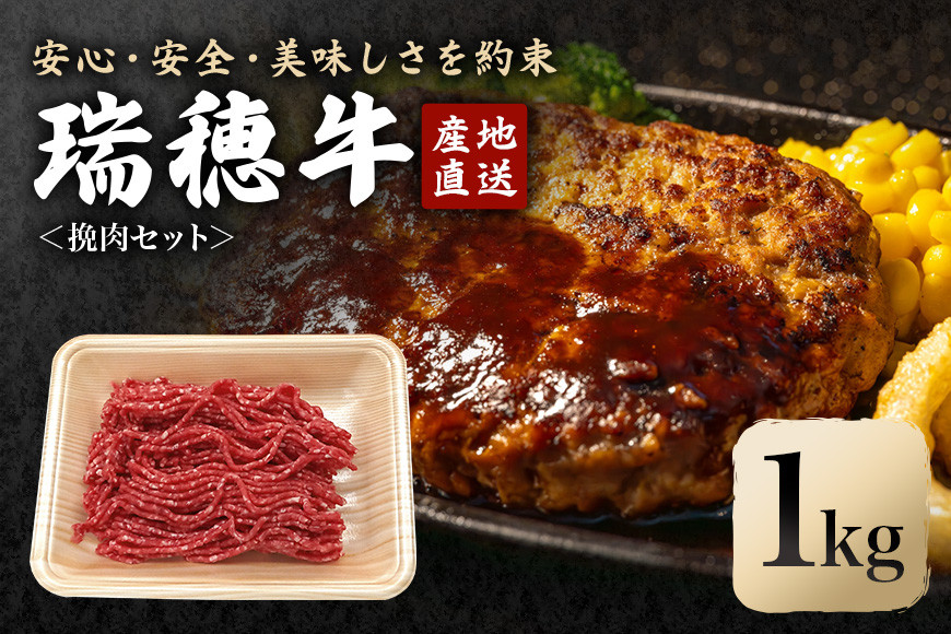 
            瑞穂牛挽肉セット 約1Kg 1000g 牛肉 瑞穂牛 ひき肉 ブランド牛 茨城県 ミンチ 冷凍配送 200g×5袋パック 小分け 牛ミンチ 和牛 お肉 肉 おにく にく 国産牛 挽き肉 挽肉 お取り寄せ グルメ ハンバーグ キーマカレー 特産品 冷凍
          