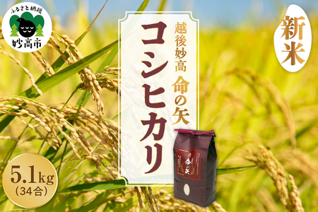 【先行予約】令和7年産 越後妙高命の矢 コシヒカリ 5.1kg 新潟県 上越 妙高産 米どころ 白米 精米 コメ お米 こめ ご飯 ごはん ライス 弁当 小分け 大容量 お取り寄せ 送料無料 妙高市