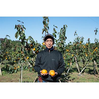 ふるさと納税 かすみがうら市 甘くて美味しい富有柿　10〜14個(3kg) |  | 03