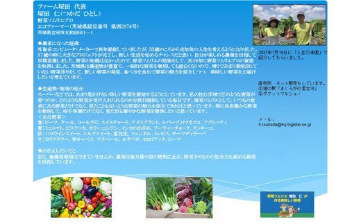 野菜ソムリエが栽培するヨーロッパ野菜と旬の野菜セット_CT01 ※着日指定不可 ※沖縄・離島への配送不可 ※2023年4月中旬～12月下旬頃に順次発送予定