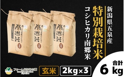 
                  【先行予約】令和8年産 コシヒカリ「南郷米」玄米 6kg（2kg×3袋） 特別栽培米 五泉産 | 新潟産コシヒカリ 新潟県産コシヒカリ 新潟県産こしひかり 米 お米 こしひかり 玄米 ブランド米 新潟県 五泉市 ファームみなみの郷
                