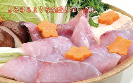 海鮮 福袋 伊勢海老 クエ セット 伊勢海老 クエ