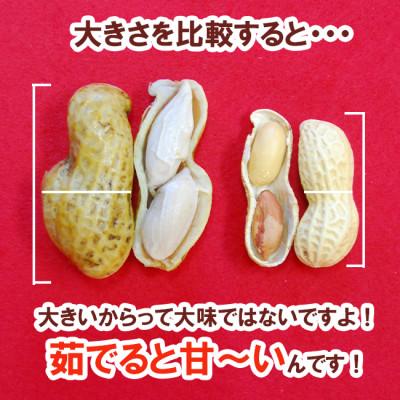 ふるさと納税 小田原市 甘くて大きい　ホクホクゆで落花生おおまさり　1.5kg |  | 02