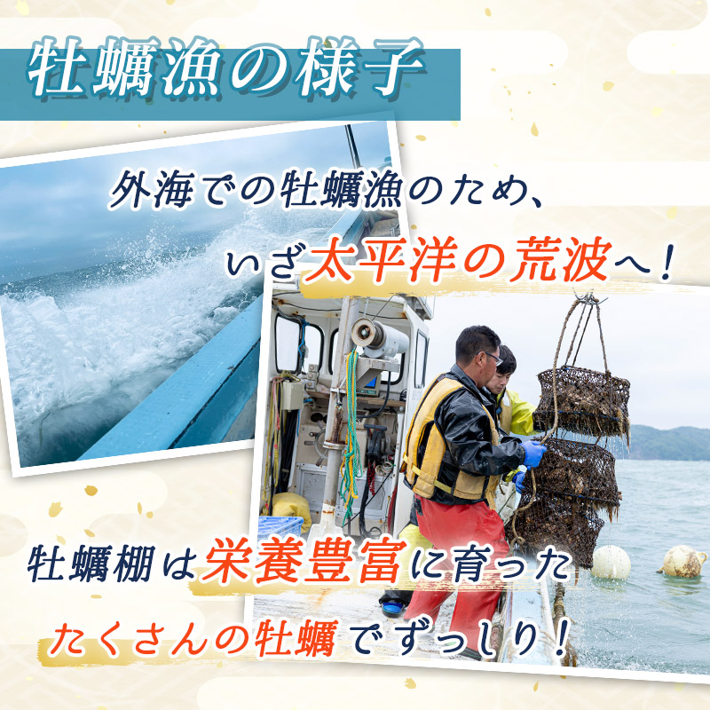 北海道 仙鳳趾名産 牡蠣 200g～249g×10コ＋かきナイフ付き 漁師直送K4-5 【センポウシ : 釧路町の東 厚岸湾の西 カキの名産地】 仙鳳趾 北海道 釧路町 釧路超 特産品_イメージ4