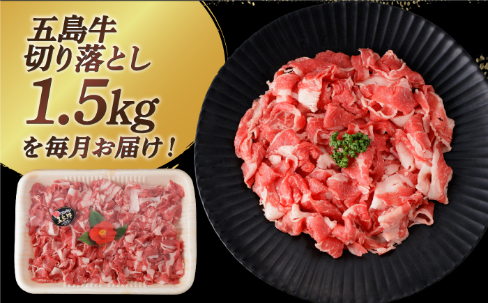 【全3回定期便】【幻の和牛を様々なお料理で】 五島牛 切り落とし 約1.5kg 10～11人前 肉 牛肉 【カミティバリュー】 [RBP082]