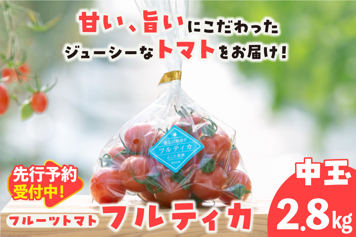 【先行予約】【2027年1月中旬以降発送】フルーツトマト　中玉フルティカ2.8kg│よこた農園 フルティカ 野菜 トマト 新鮮野菜 太陽の恵み 中玉トマト トマト料理 愛知県産 フルーツとまと 甘いト