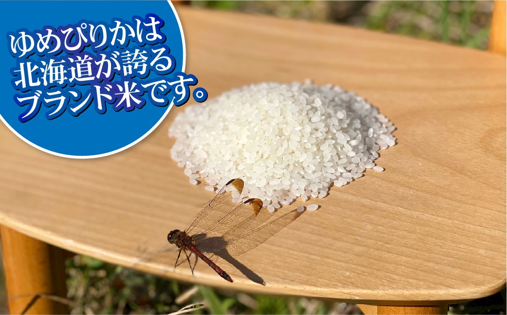 【6回定期便】ゆめぴりか(2合×5パック)×6回