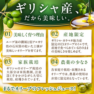 EXオリーブオイル エライア グリーン・レッド 2種2本セット（化粧箱入り）【026D-002】