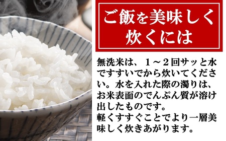 【令和7年産米】新潟産最上級コシヒカリ「米山プリンセス」 無洗米 5kg  おいしいね アグリード越後のお米 [ZF303]