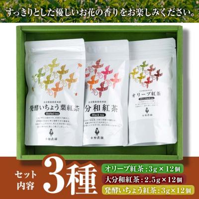 ふるさと納税 佐伯市 紅茶 ティーバッグ 3種セット (オリーブ紅茶、和紅茶、いちょう葉紅茶・各12個) |  | 02