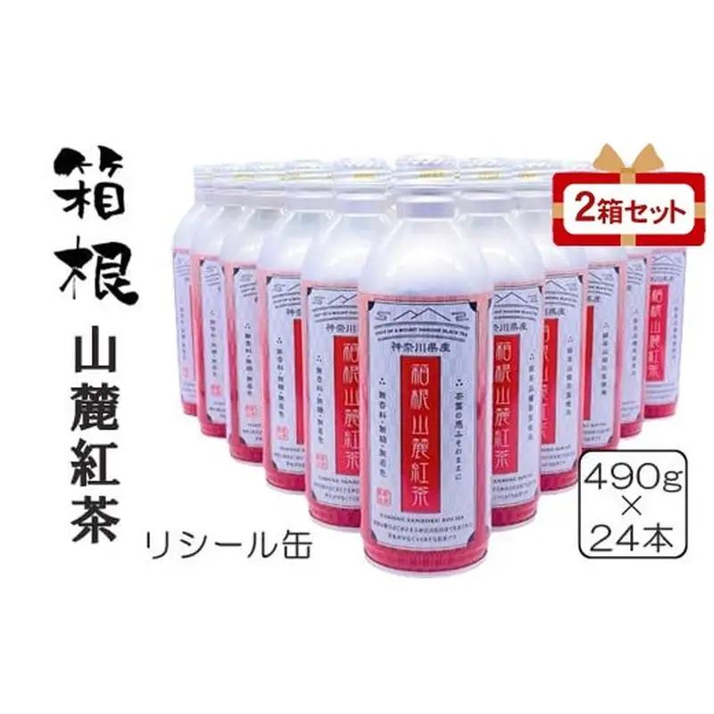 箱根山麓紅茶リシール缶490g×24本入×2箱セット
