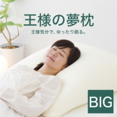 王様の夢枕 BIG (専用カバー付き 70×70cm) 上半身から眠る ゆったり 大きめ 極小ビー