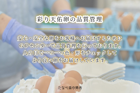 卵30個 平飼い八雲鶏(やくもどり)卵 彩り天佑卵(てんゆうらん) 卵10個×3パック 卵30個 おいしい卵 卵焼き 卵かけご飯 洋菓子用卵 卵料理に！ 安心安全卵 高品質卵
