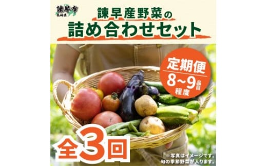 【3回定期便】諫早産野菜の詰め合わせ(8〜9品目程度) / 季節 旬 野菜 春野菜 夏野菜 秋野菜  / 諫早市 / 肥前グローカル株式会社 [AHDI001]