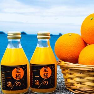 【無添加】田村みかんの新鮮100%ジュース「至極の一滴」180ml×15本入り(日高町)【1406578】