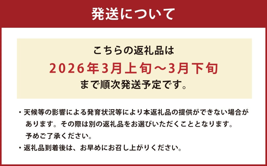 熊本県産 すいか スーパーエース 4kg以上
