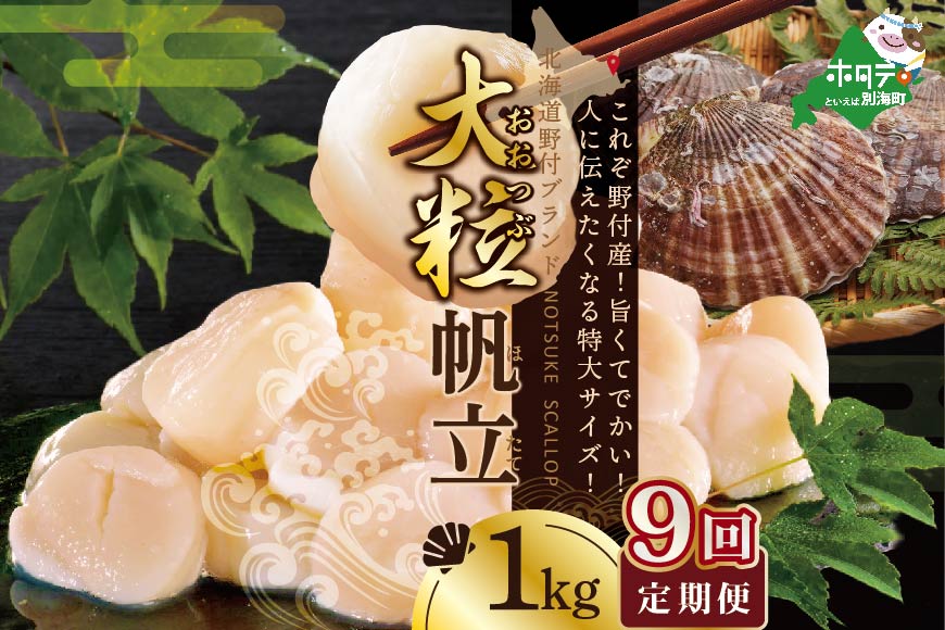【毎月9回定期便】★NET【新物】北海道野付産冷凍ホタテ貝柱大粒（2Sサイズ）ホタテ1ｋｇ【NKM09NET1】