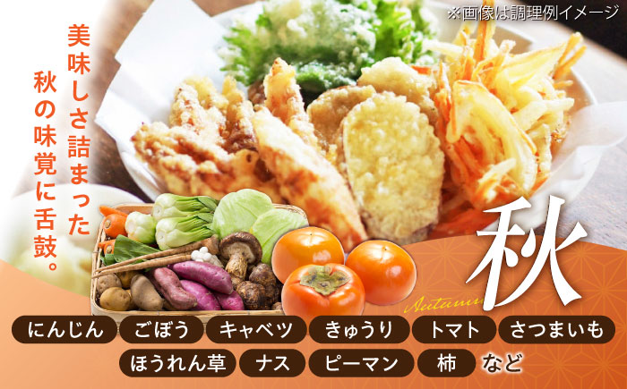 【全3回定期便】【数量限定】菊陽町特産品 「野菜・果物などの詰め合わせ」　 / 新鮮 詰合せ フルーツ セット 旬 おまかせ にんじん 直売所 やさい くだもの 熊本県 特産品 菊陽町【有限会社さんふ