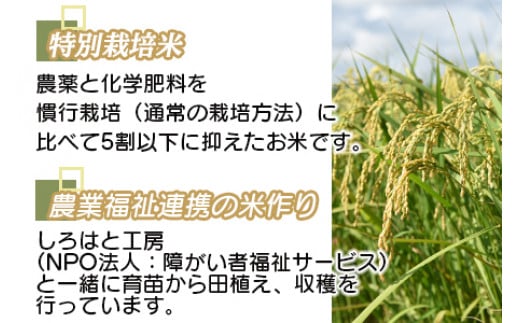 ＜令和5年度 特別栽培米「粋」コシヒカリ 5kg＞ ※入金確認後、翌月末迄に順次出荷します。 米 こしひかり