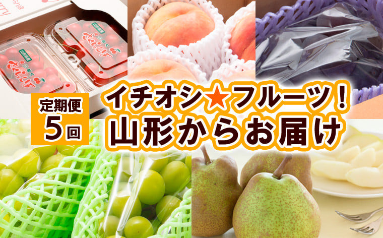 
            【定期便5回】イチオシ★フルーツ！山形からお届け 【令和7年産先行予約】FS24-524くだもの 果物 フルーツ 山形 山形県 山形市 2025年産
          