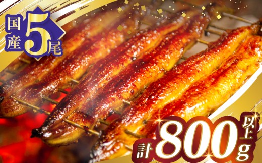 【令和8年3月発送】うなぎ蒲焼5尾(さんしょう・たれ付き)計800g以上 鰻 魚 魚介 加工品 国産_T026-0032-03