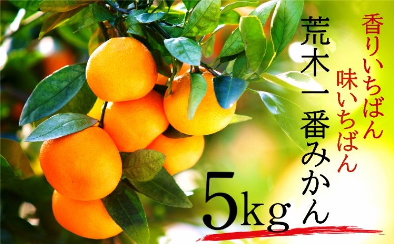 【先行予約・年内配送】令和7年12月中出荷/荒木一番みかん約5kg _1271R-1