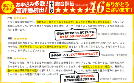 くまもと梨 梨 秋 旬 なし 幸水 豊水 先行 果物 くだもの フルーツ ナシ 梨 先行予約 送料無料 あきづき 甘太 新高 新興 約3.5kg 5玉～15玉前後 熊本県産【着日指定不可】《8月下旬‐