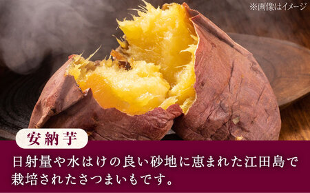 【全6回】芋焼酎 安納芋720ml×2 焼酎[XAD080]