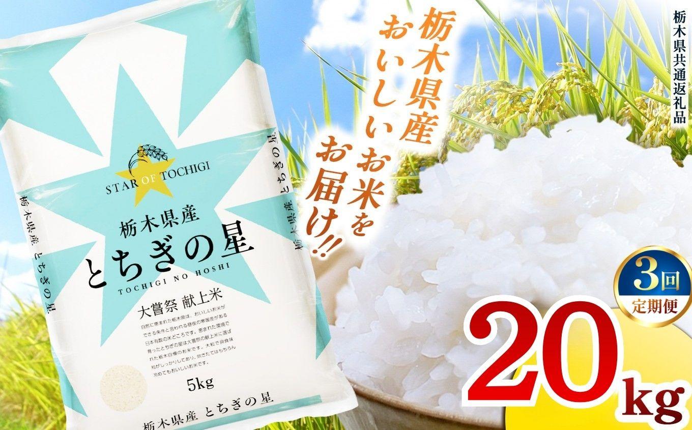 【定期便3回】栃木県産 お米 とちぎの星 20kg |  栃木県 矢板市 【栃木県共通返礼品】