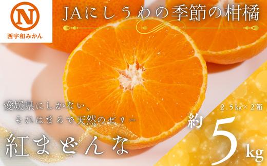 
            JAにしうわの季節の柑橘(紅まどんな 約2.5kg×2箱)＜H08-50＞_ 紅マドンナ 紅まどんな みかん ミカン 常温 国産 フルーツ 果物 くだもの 人気 柑橘 かんきつ 愛媛 旬 産地直送 産直 季節限定 甘い 限定 ジューシー 【1443404】
          