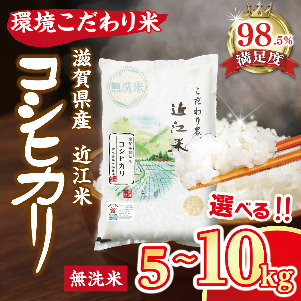 【ふるさと納税】令和7年産 近江米 環境こだわり米 コシヒカリ 無洗米 5kg ／ 10kg 選べる 国産 滋賀県 米 中谷農場 御中元 お中元