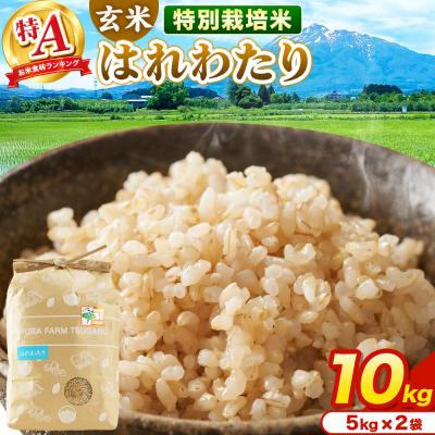 ふるさと納税 弘前市 米【特別栽培米】はれわたり 玄米 10kg(5kg×2袋)R7年産 特A|24_mft-081001